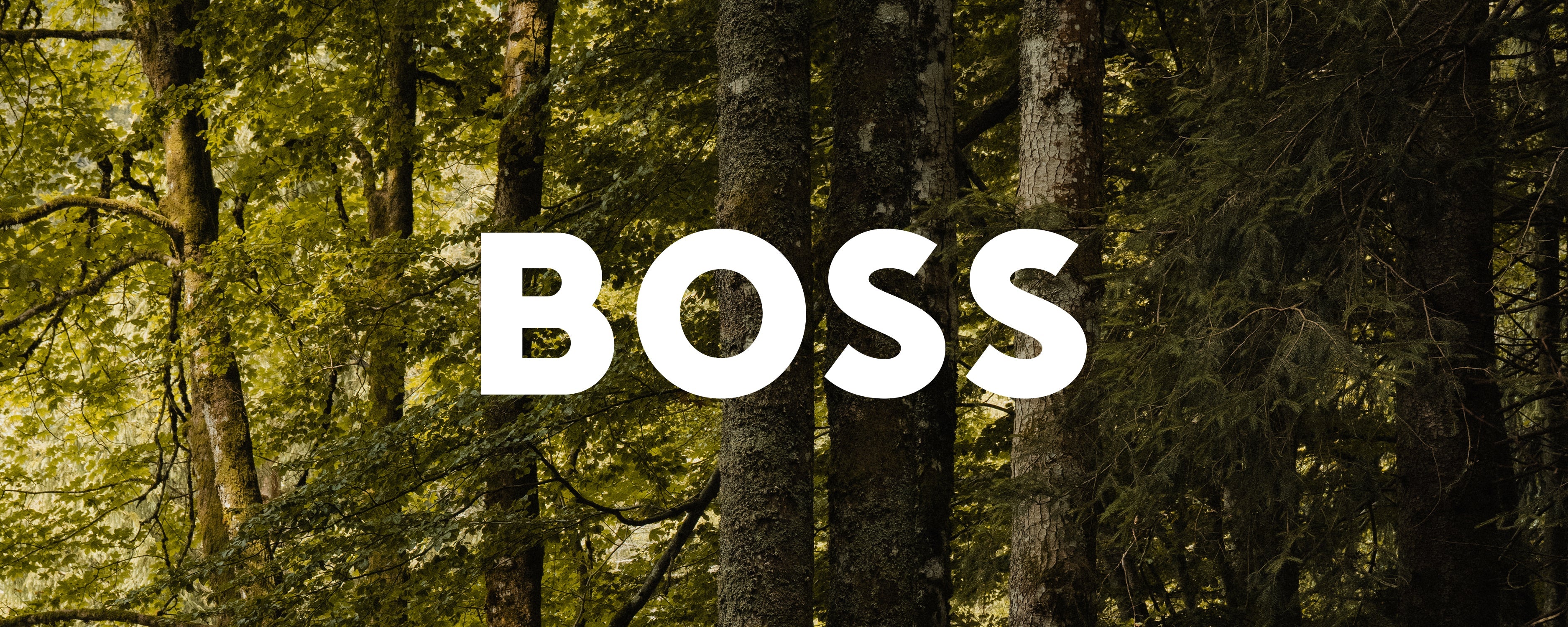 Boss