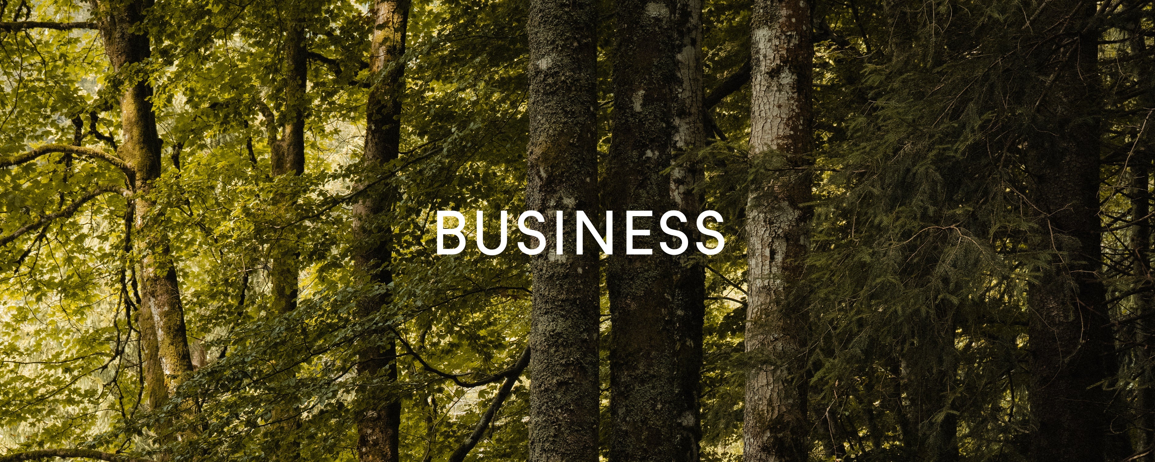 Business