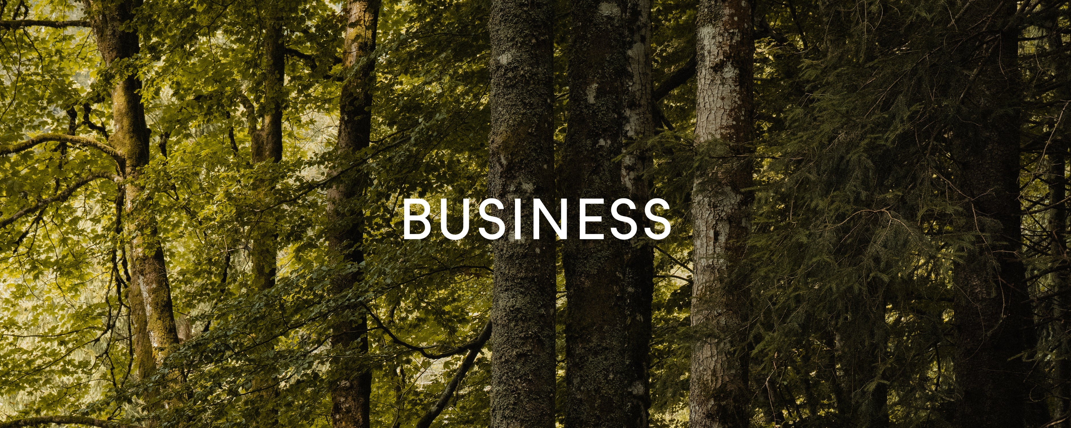 Business