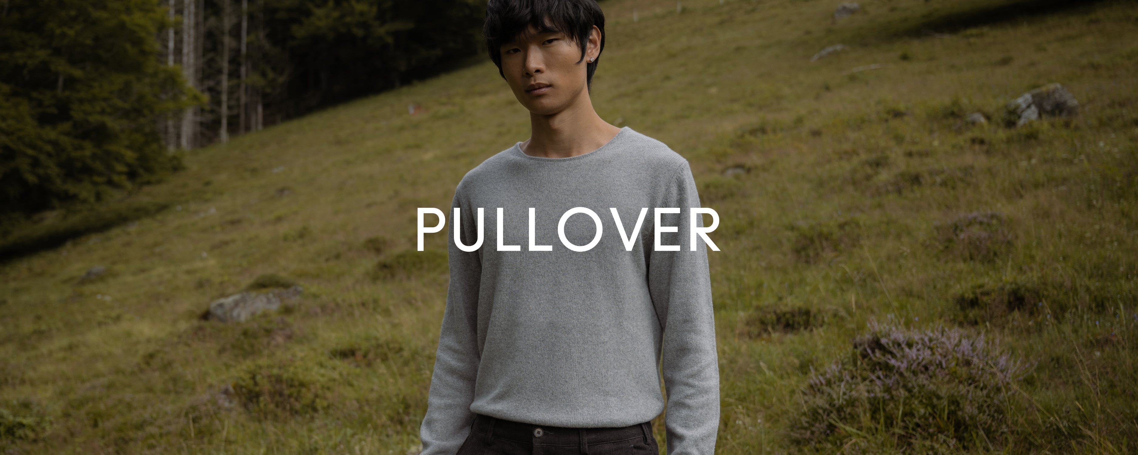 Pullover