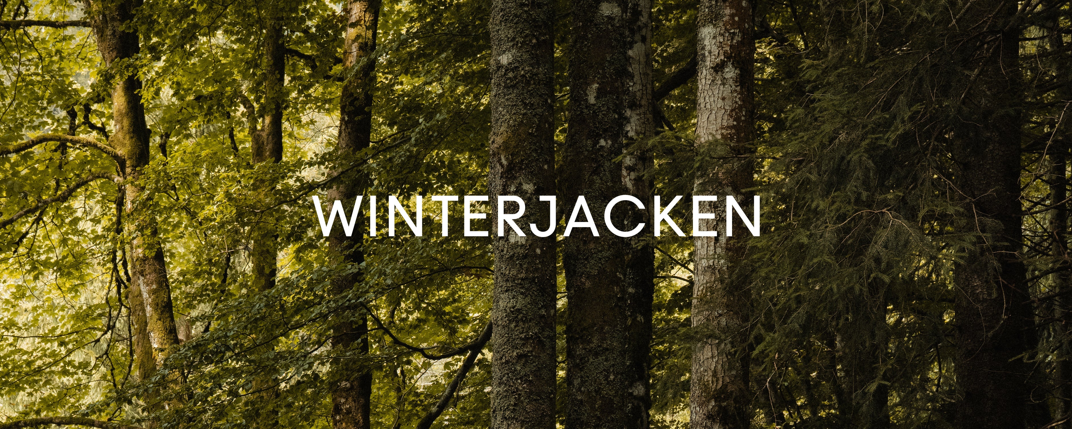 Winterjacken