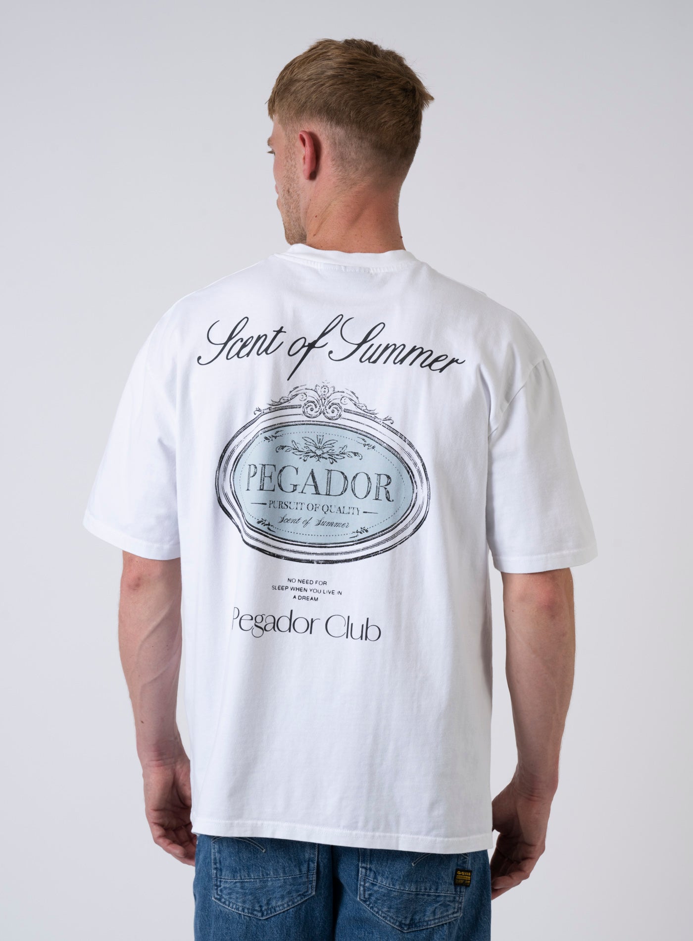 252-PGDR-5065 RAMAN OVERSIZE TEE
