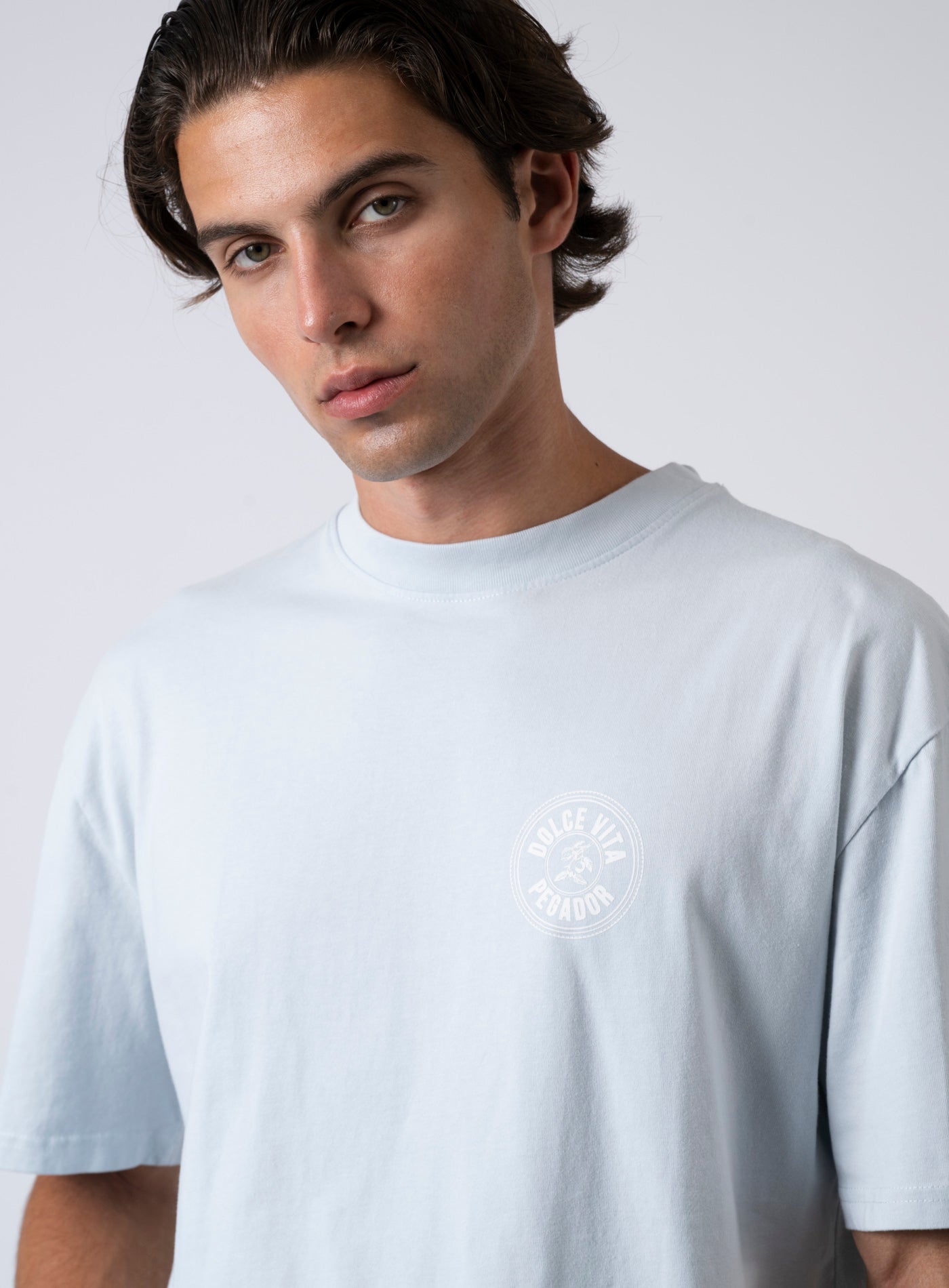 252-PGDR-5080 CABERRY OVERSIZE TEE