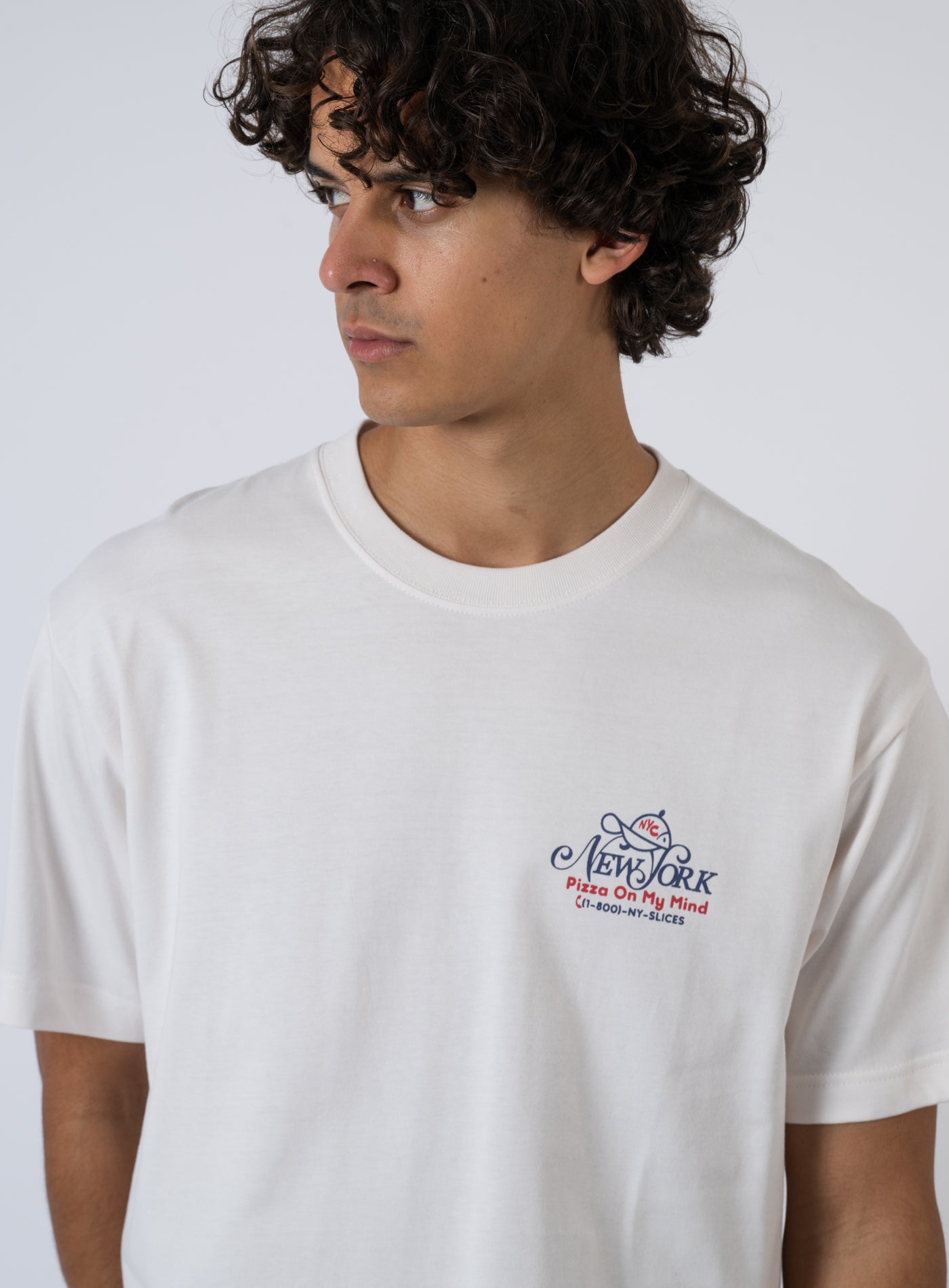 252-NYC PIZZA T OVC-T215