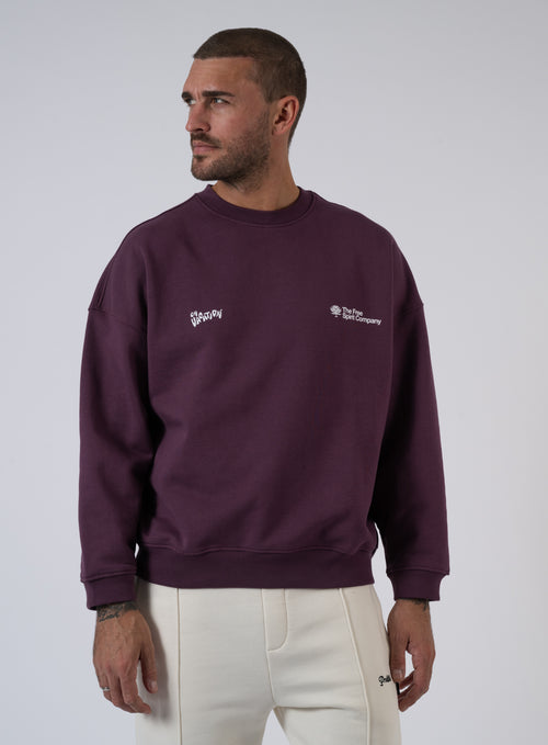 252-POSITIVE ENERGY SWEATER OVC-S112